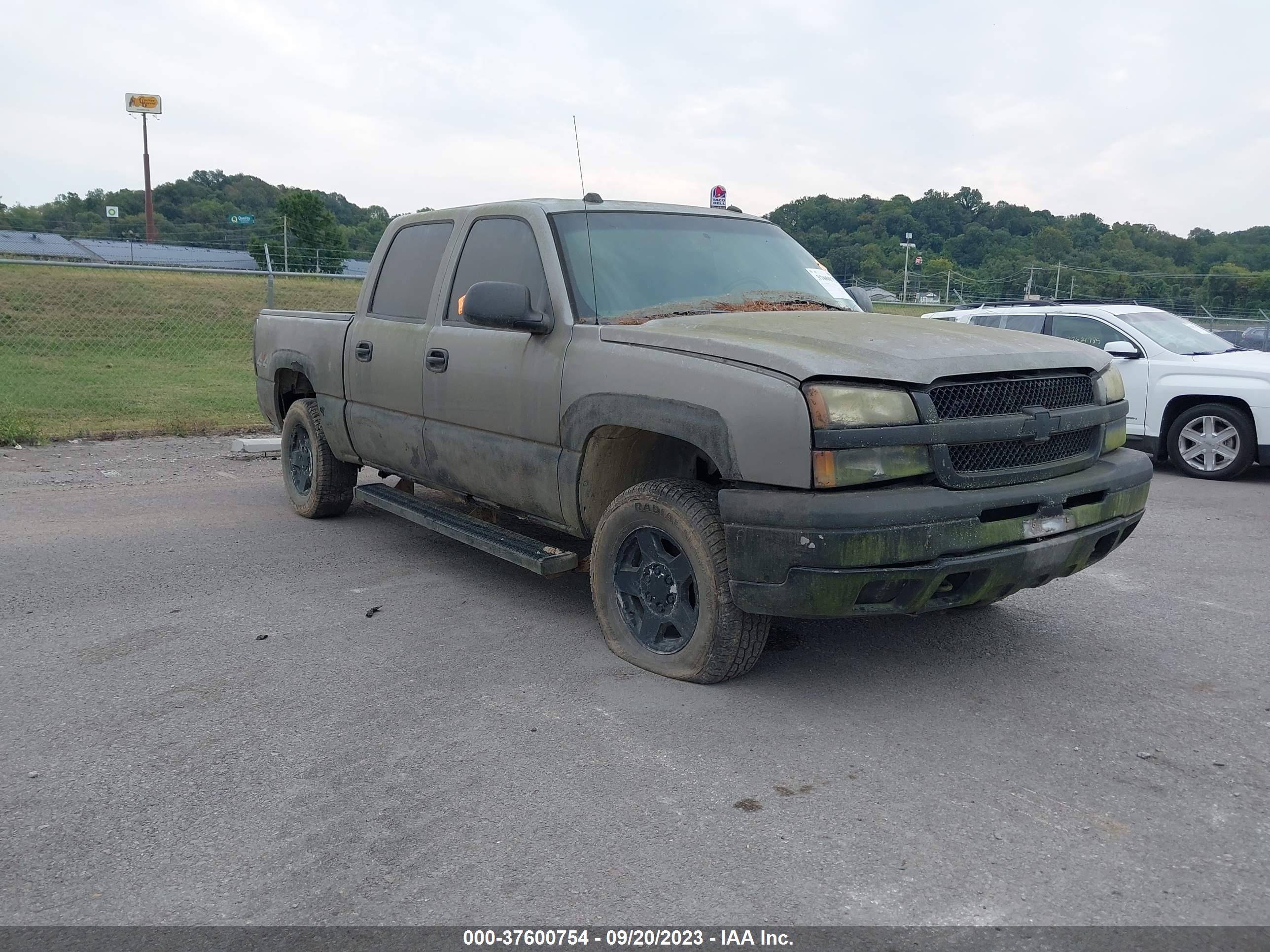 CHEVROLET SILVERADO 2005 2gcek13t951334213