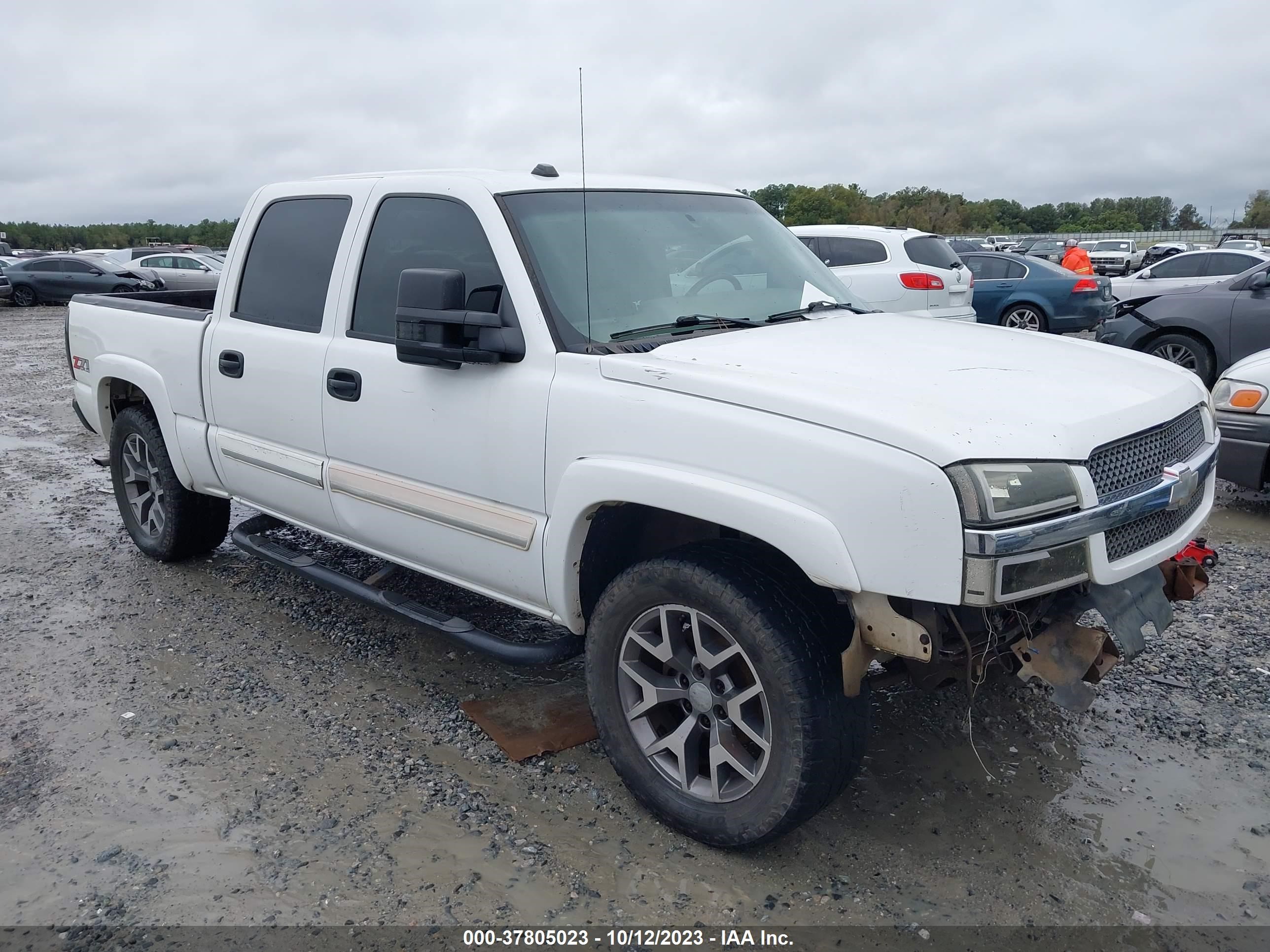 CHEVROLET SILVERADO 2005 2gcek13t951379779