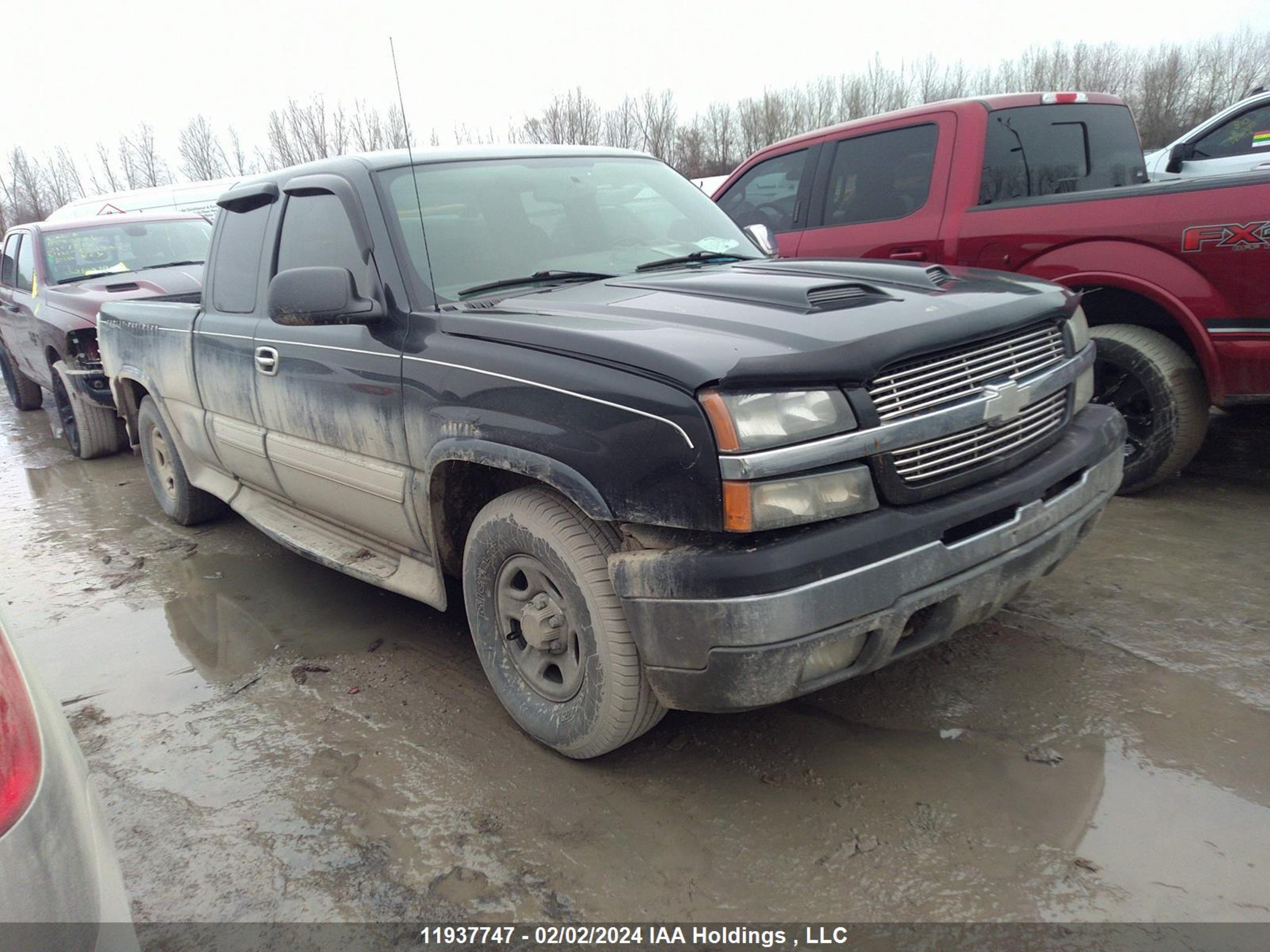 CHEVROLET SILVERADO 2004 2gcek19v341352326