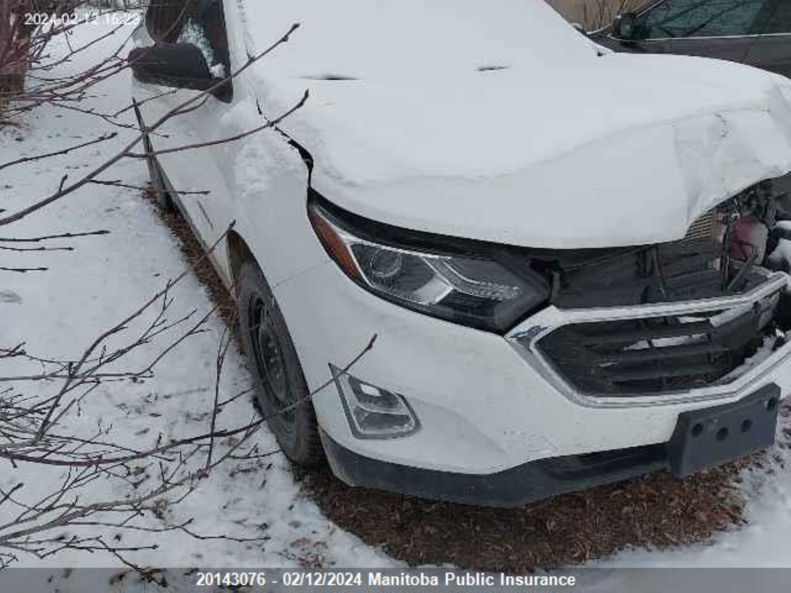 CHEVROLET EQUINOX 2019 2gnaxhev0k6120711