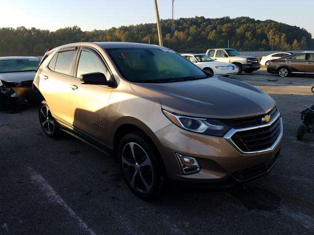 CHEVROLET EQUINOX LS 2019 2gnaxhev0k6147292