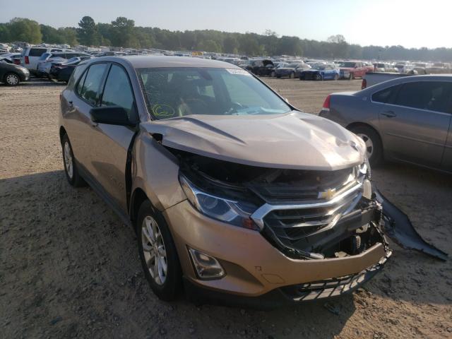 CHEVROLET EQUINOX LS 2019 2gnaxhev0k6171013