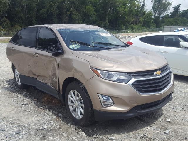 CHEVROLET EQUINOX LS 2019 2gnaxhev0k6193805