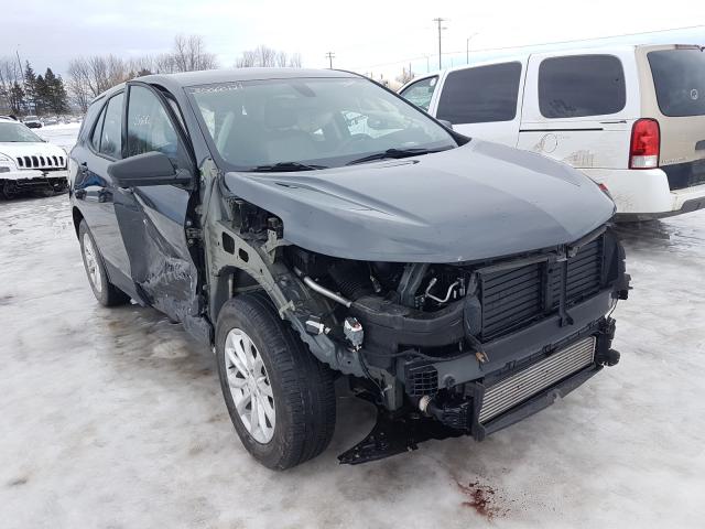 CHEVROLET EQUINOX LS 2019 2gnaxhev1k6117056