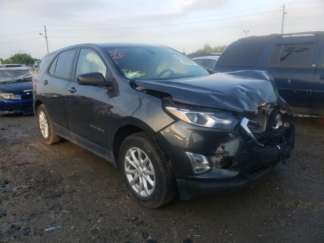 CHEVROLET EQUINOX LS 2019 2gnaxhev1k6120250