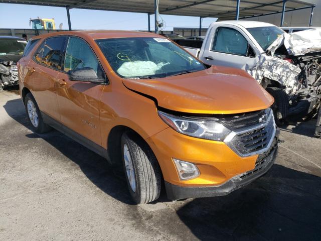 CHEVROLET EQUINOX LS 2019 2gnaxhev1k6121284