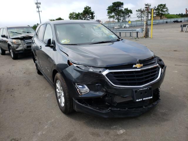 CHEVROLET EQUINOX LS 2019 2gnaxhev1k6134682