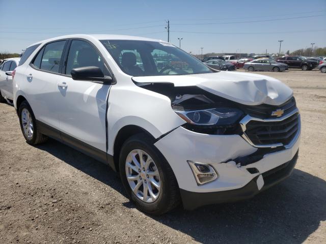 CHEVROLET EQUINOX LS 2019 2gnaxhev1k6135413