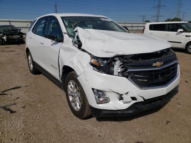 CHEVROLET EQUINOX LS 2019 2gnaxhev1k6238217