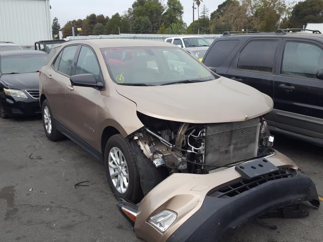 CHEVROLET EQUINOX LS 2019 2gnaxhev1k6289281