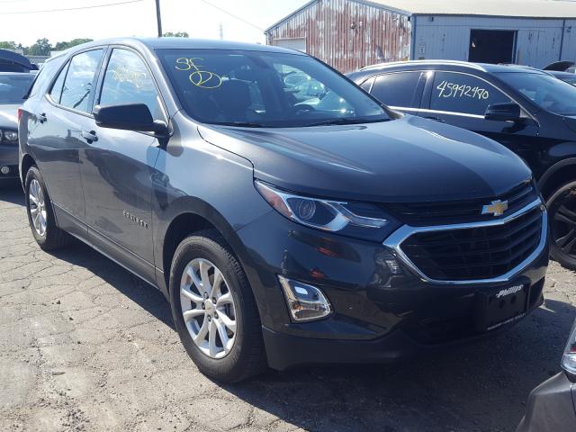 CHEVROLET EQUINOX LS 2018 2gnaxhev2j6333867