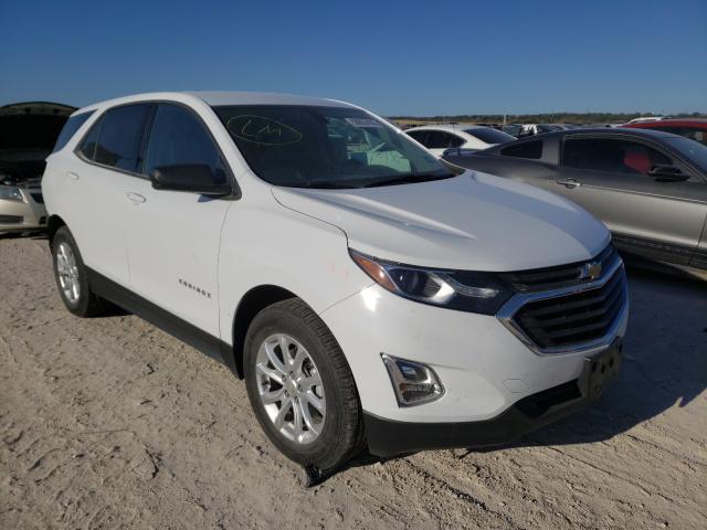 CHEVROLET EQUINOX LS 2019 2gnaxhev2k6118765