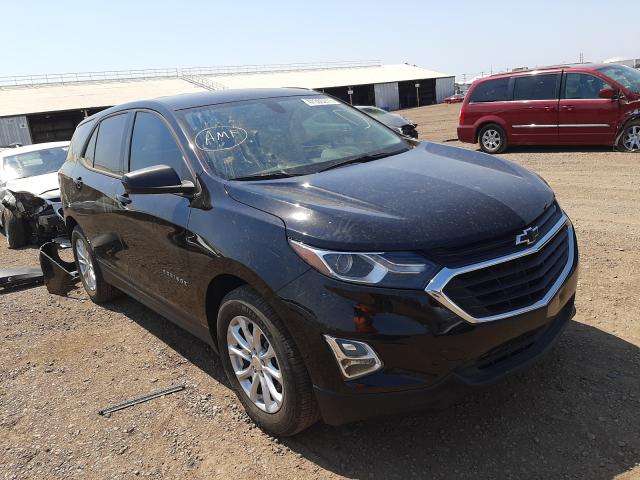 CHEVROLET EQUINOX LS 2019 2gnaxhev2k6224861