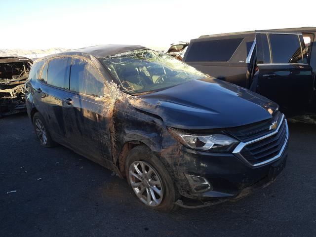 CHEVROLET EQUINOX LS 2019 2gnaxhev2k6243359