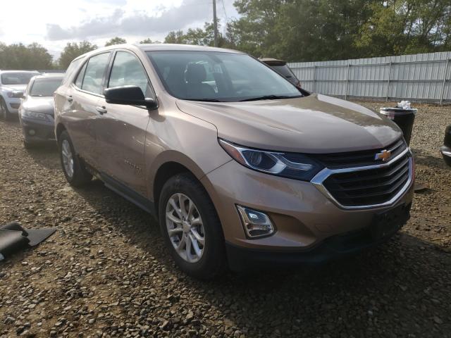 CHEVROLET EQUINOX LS 2019 2gnaxhev2k6253678