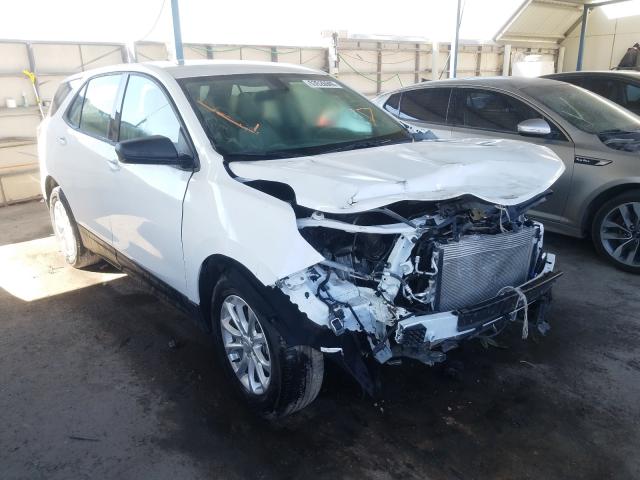 CHEVROLET EQUINOX LS 2018 2gnaxhev3j6219294