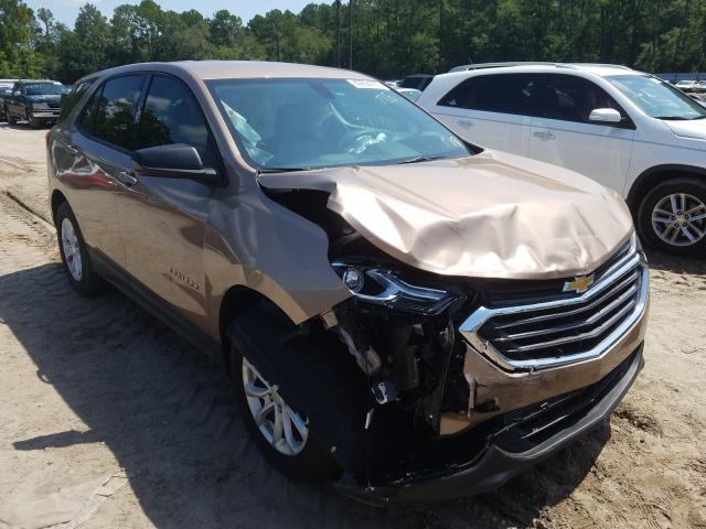 CHEVROLET EQUINOX LS 2019 2gnaxhev3k6132643