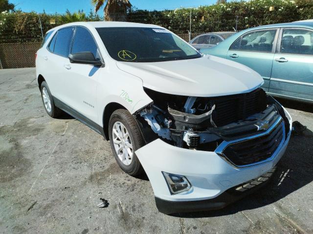 CHEVROLET EQUINOX LS 2019 2gnaxhev3k6205008