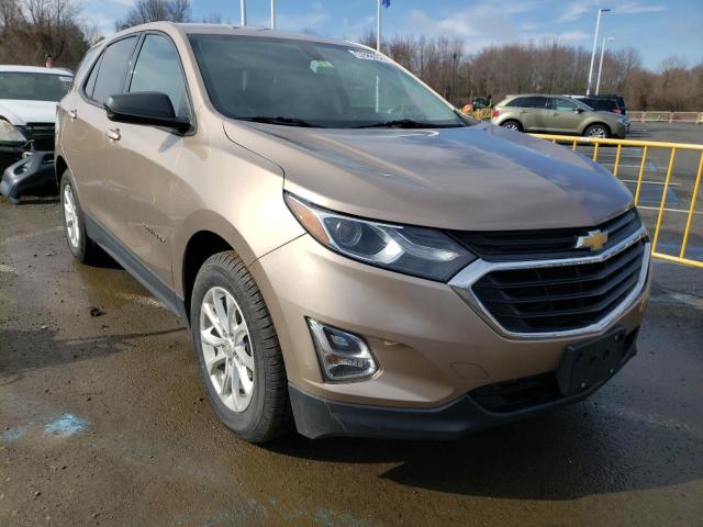 CHEVROLET EQUINOX LS 2019 2gnaxhev3k6205882