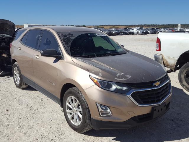 CHEVROLET EQUINOX LS 2019 2gnaxhev3k6287130