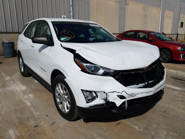 CHEVROLET EQUINOX LS 2019 2gnaxhev4k6101739