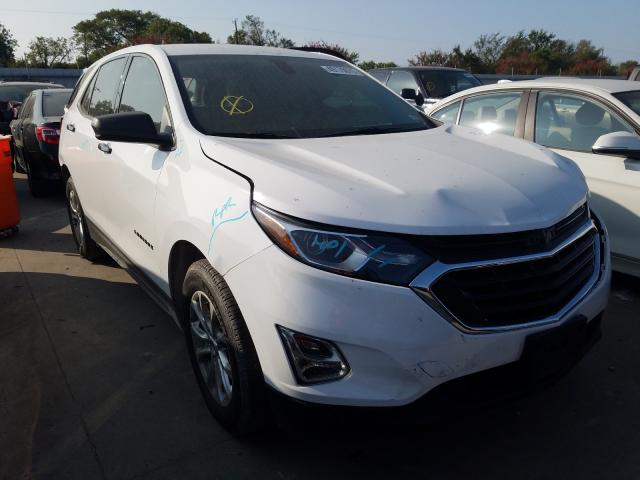 CHEVROLET EQUINOX LS 2019 2gnaxhev4k6130660