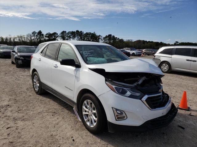 CHEVROLET EQUINOX LS 2019 2gnaxhev4k6135079