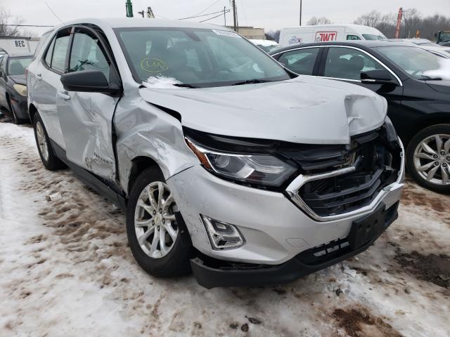 CHEVROLET EQUINOX LS 2019 2gnaxhev4k6147071