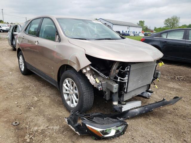 CHEVROLET EQUINOX LS 2019 2gnaxhev4k6179244