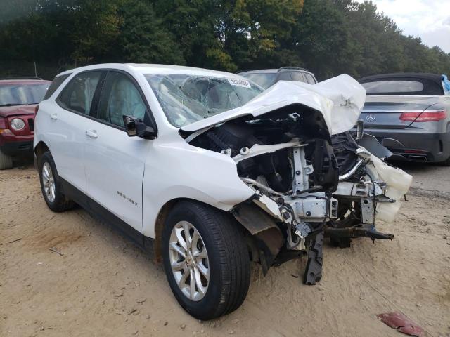 CHEVROLET EQUINOX LS 2019 2gnaxhev4k6183178