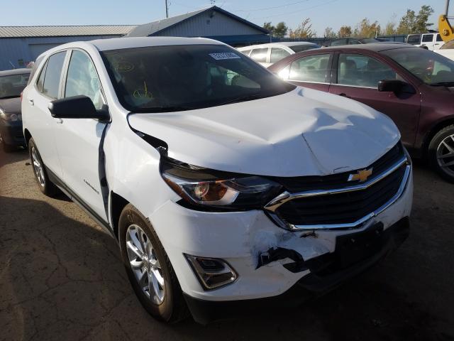 CHEVROLET EQUINOX LS 2020 2gnaxhev4l6235233