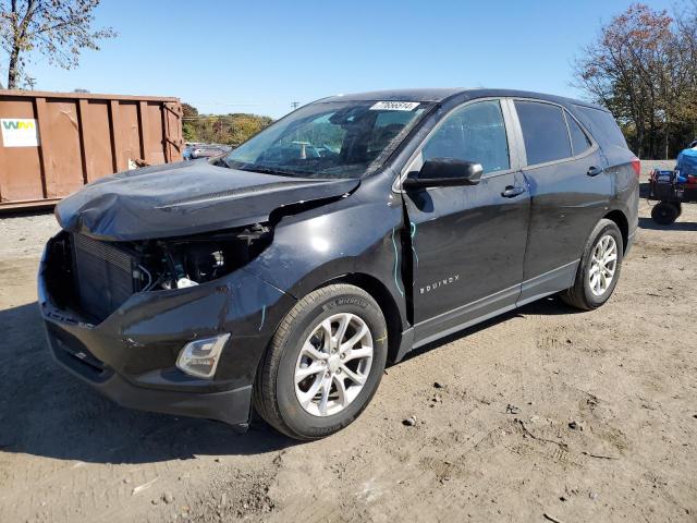 CHEVROLET EQUINOX LS 2020 2gnaxhev4l6280740