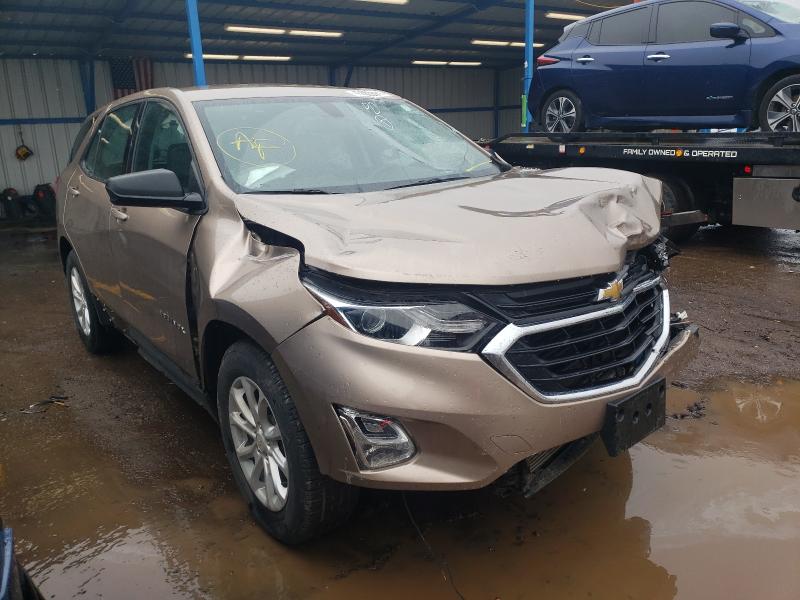 CHEVROLET EQUINOX LS 2019 2gnaxhev5k6232162