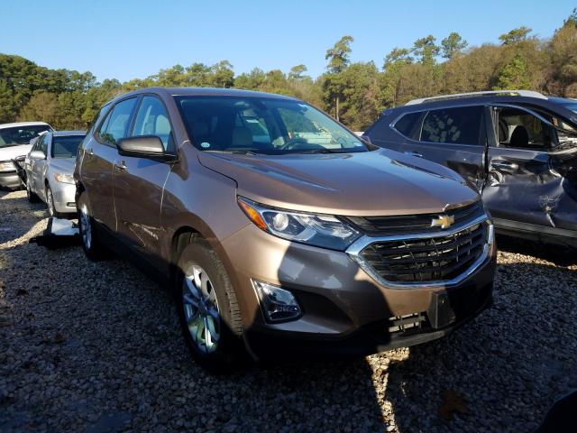 CHEVROLET EQUINOX LS 2019 2gnaxhev5k6296640