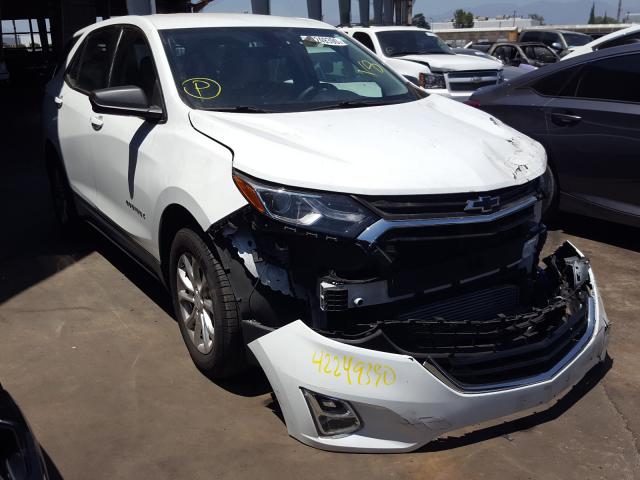 CHEVROLET EQUINOX LS 2019 2gnaxhev6k6115819