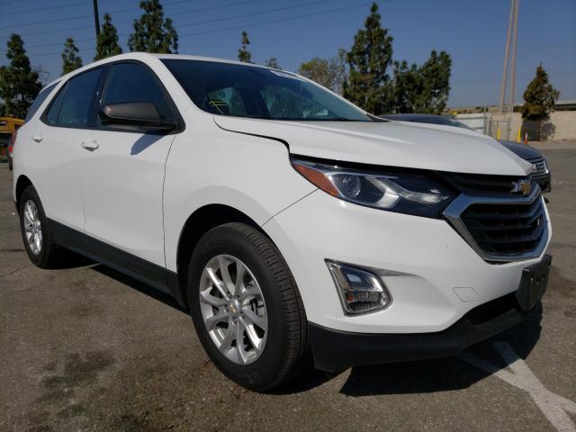 CHEVROLET EQUINOX LS 2019 2gnaxhev6k6143362