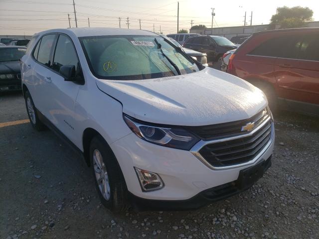 CHEVROLET EQUINOX LS 2019 2gnaxhev6k6171338