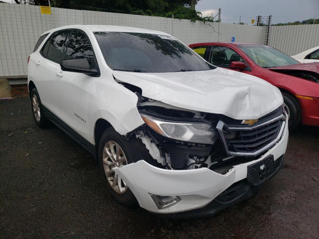 CHEVROLET EQUINOX LS 2019 2gnaxhev6k6191069