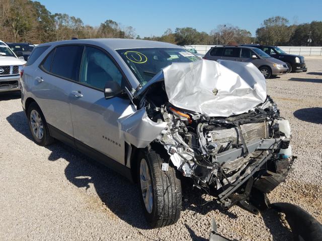 CHEVROLET EQUINOX LS 2019 2gnaxhev6k6215418