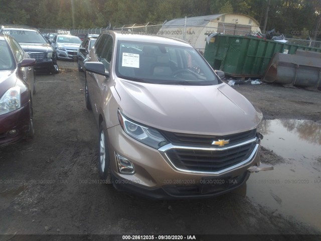 CHEVROLET EQUINOX 2019 2gnaxhev6k6234552