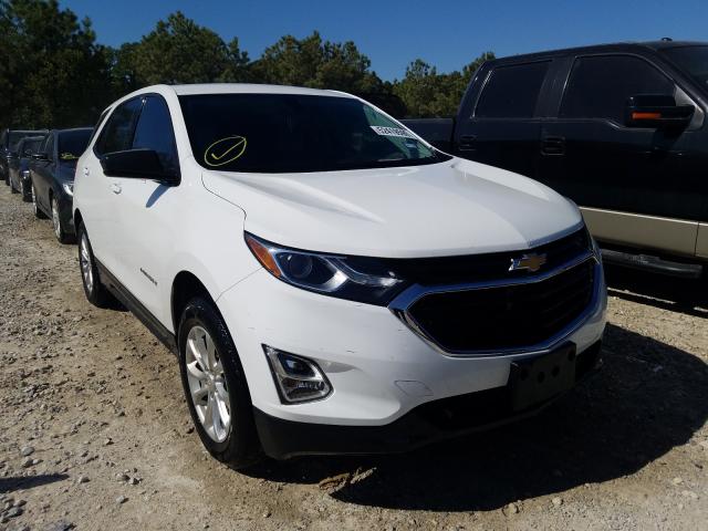 CHEVROLET EQUINOX LS 2018 2gnaxhev7j6159262