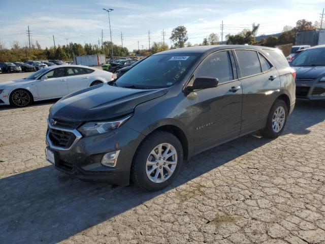 CHEVROLET EQUINOX LS 2019 2gnaxhev7k6140986