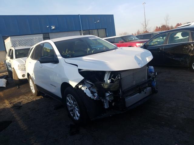 CHEVROLET EQUINOX LS 2019 2gnaxhev7k6275692