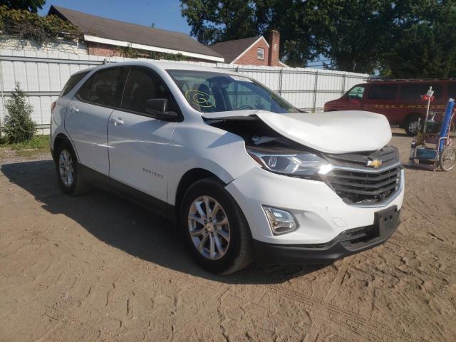 CHEVROLET EQUINOX LS 2018 2gnaxhev8j6172036