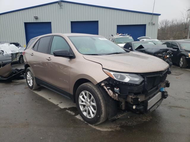 CHEVROLET EQUINOX LS 2019 2gnaxhev8k6184320