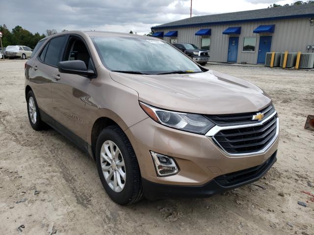 CHEVROLET EQUINOX LS 2019 2gnaxhev8k6202976