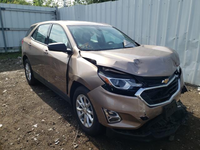 CHEVROLET EQUINOX LS 2019 2gnaxhev8k6216599