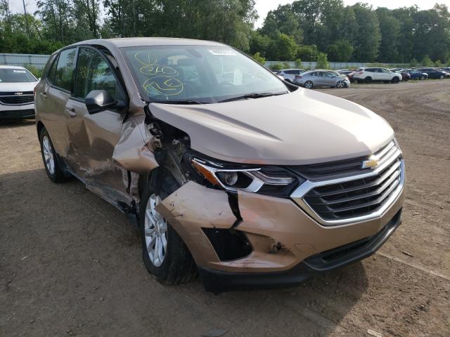 CHEVROLET EQUINOX LS 2019 2gnaxhev8k6254785