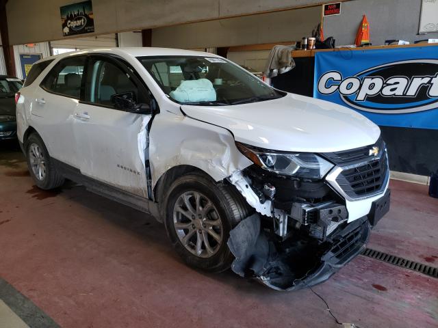 CHEVROLET EQUINOX LS 2018 2gnaxhev9j6213001