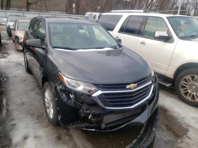 CHEVROLET EQUINOX LS 2019 2gnaxhev9k6204865